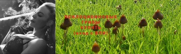 марки nbome Елизово